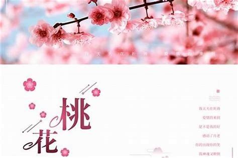 年支桃花|八字桃花全解正桃花：以生年干支的纳音为主